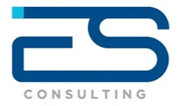 es-consulting